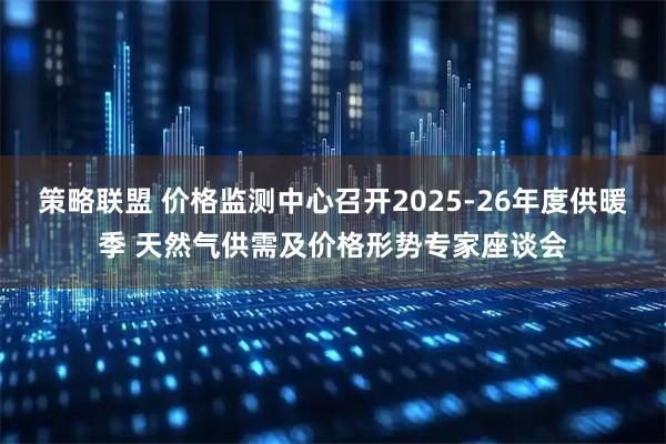 策略联盟 价格监测中心召开2025-26年度供暖季 天然气供需及价格形势专家座谈会