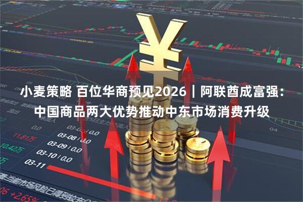 小麦策略 百位华商预见2026｜阿联酋成富强：中国商品两大优势推动中东市场消费升级