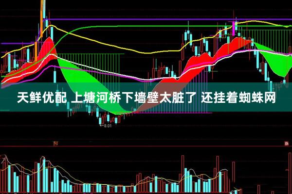 天鲜优配 上塘河桥下墙壁太脏了 还挂着蜘蛛网